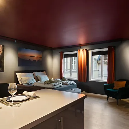 Premium House Ovre Langgate 27