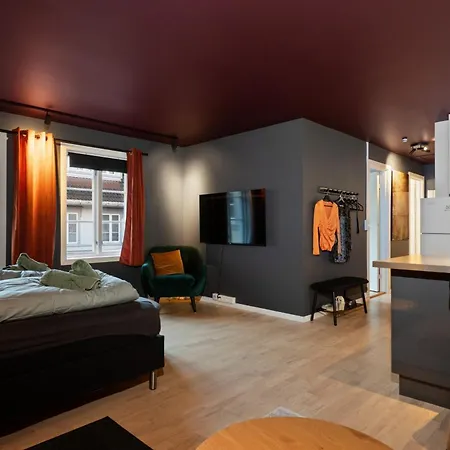 Premium House Ovre Langgate 27 *