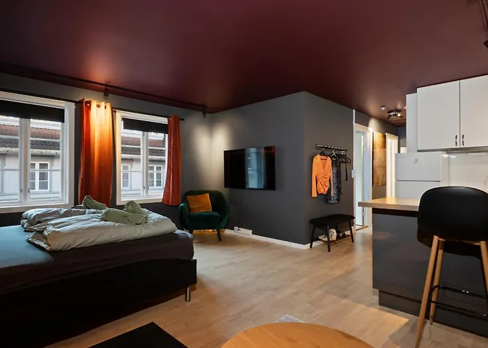 Premium House Ovre Langgate 27 *